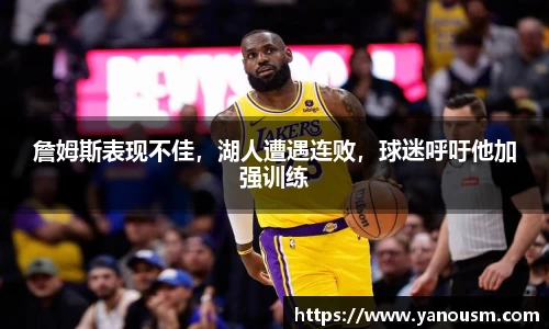 金年会体育