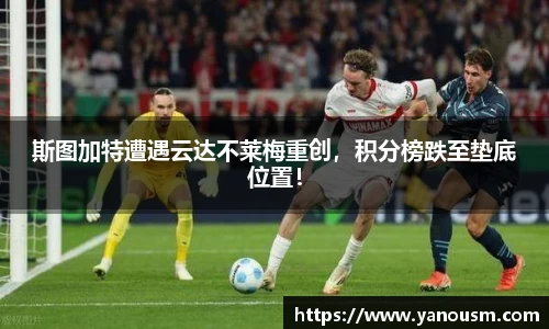 金年会