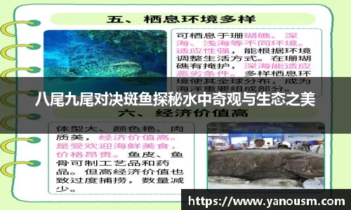 金年会